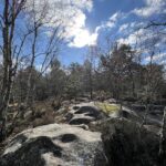 Photo d'une vue dégagé dans la forêt de Fontainebleau, le ciel est bleu et les arbres sont sans feuille. Au sol ce sont d'énorme rocher